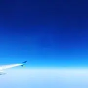 トミーの画像