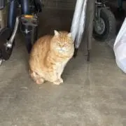 てる望の画像