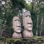 さんだらーの画像
