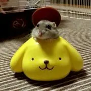 ゆーあ