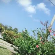 poskame