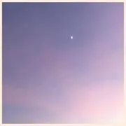 さっこの画像