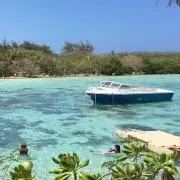 しょー