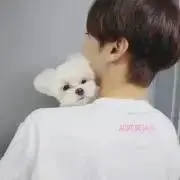 あお