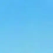 を