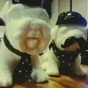 Sakuraの画像