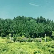 ちゃえっこの画像