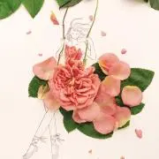 りなの画像
