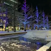 tomoの画像