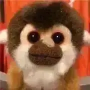 ⊂((・⊥・))⊃おさる店長の画像