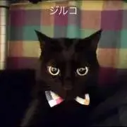 nonnon1117 プロフ読んでね★の画像
