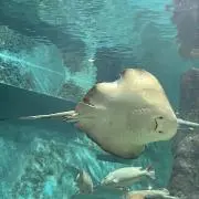 Zozozozo5の画像