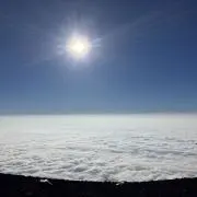 さけかんの画像