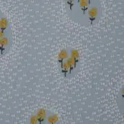 yu-kaの画像