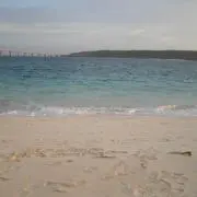 seaの画像