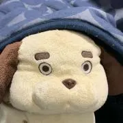 いぬまろの画像