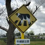 なぎ