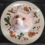 シューくんの画像
