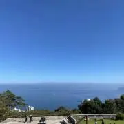 だいの画像