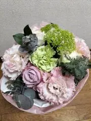 いろはの画像