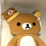 クマ子。の画像