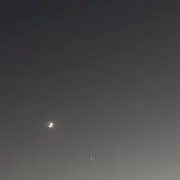 たきかちの画像
