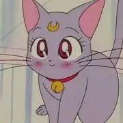 @choco_379の画像