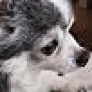 KaKo