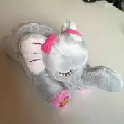 リボン
