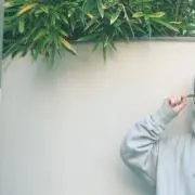 木公の画像