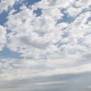 TARAの画像
