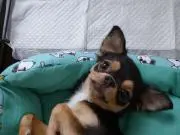 あっちゃん