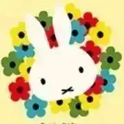 たまごの画像