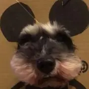 こーいち