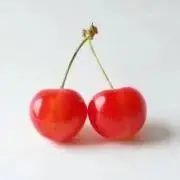 cherryの画像