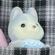 いいはの画像