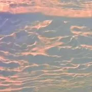 まろの画像