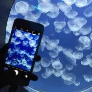ちぇき