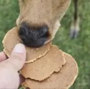 onkyo ワイヤレスイヤホン 鶴丸国永 動作テスト済 刀剣乱舞 斉藤壮馬