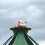 miiの画像