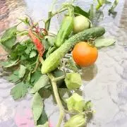 佑穂