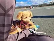 りえの画像