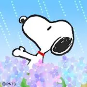 うたちゃんの画像