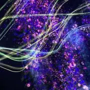 dgsh@プロフ必読
