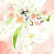 Jun✦✧の画像
