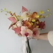 kkの画像