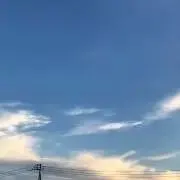 ピロリの画像