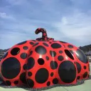 mamargueriteの画像