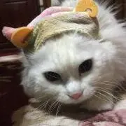 マロちゃん