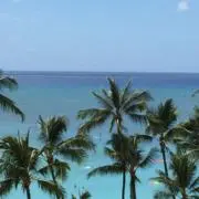 Hi801の画像